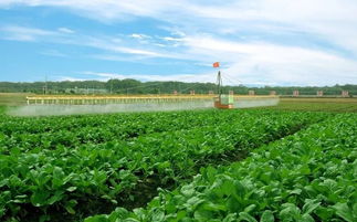 推廣綠色農業技術,助力打造粵港澳綠色農產品生產供應基地